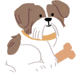 Cute Handdrawn Shih Tzu