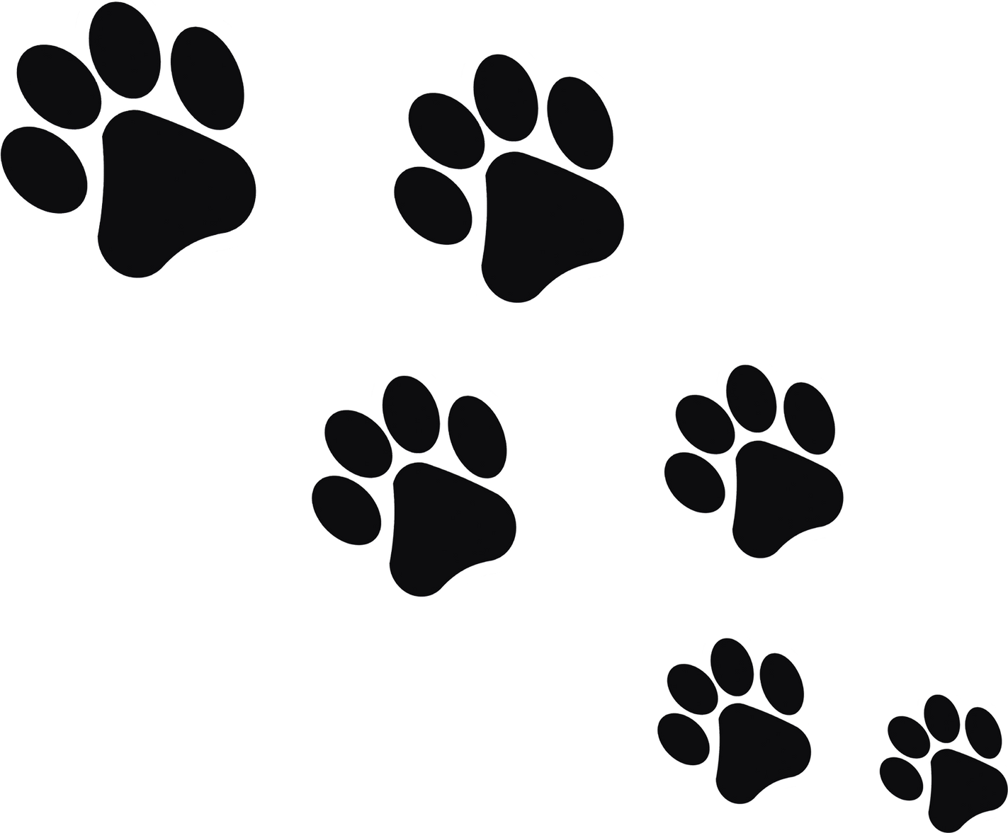Dog Paw Prints Illustration